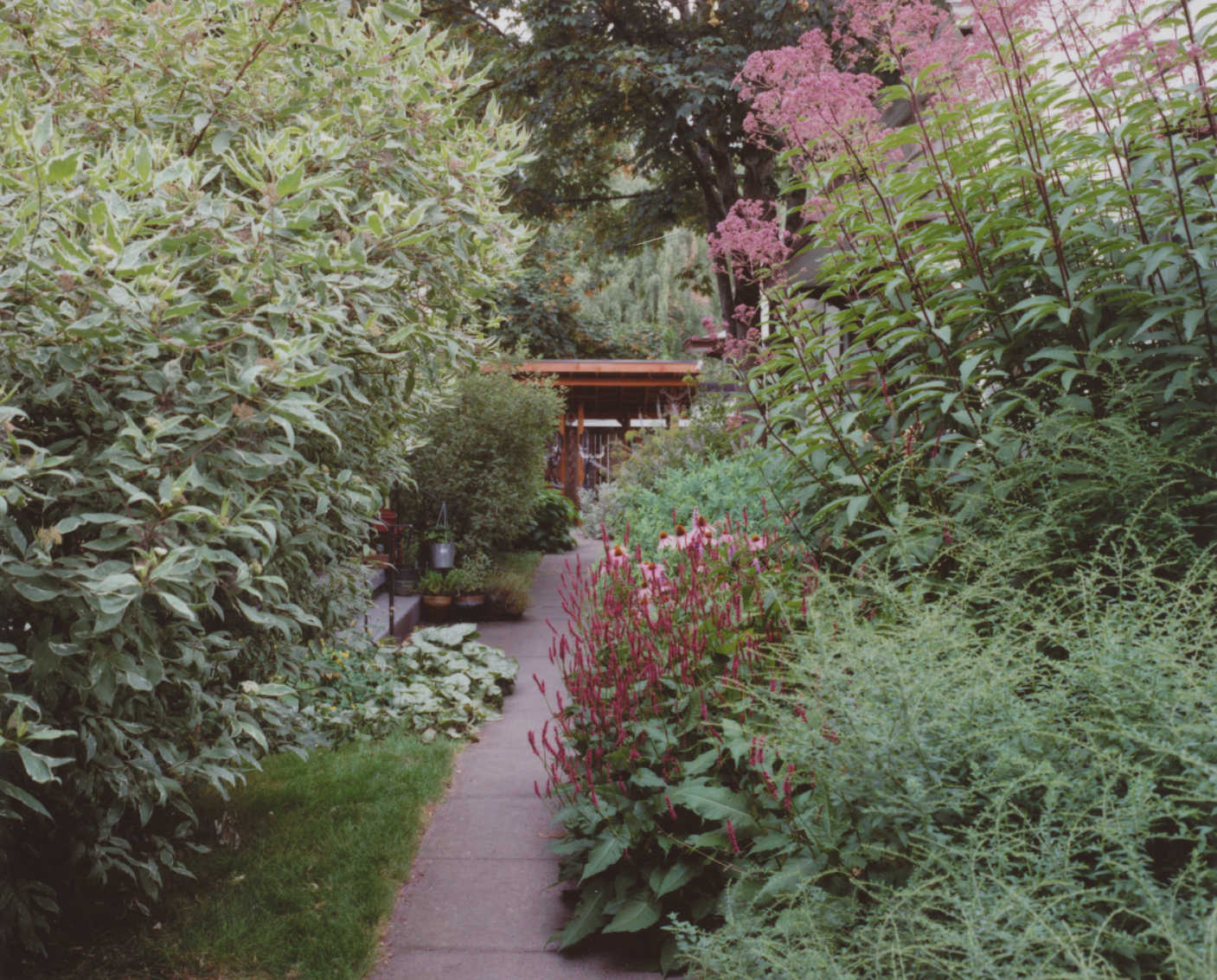 Missy's Garden